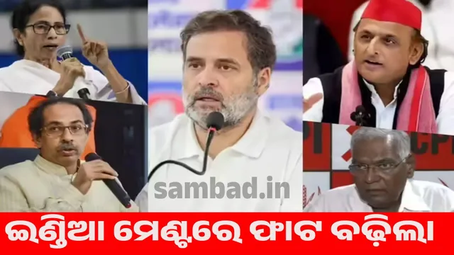 India divided over JPC over removal of jailed PM and CM