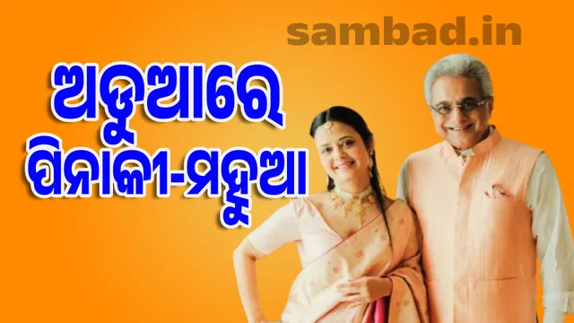 Financial fraud, money laundering and defence security charges against Pinaki Mishra