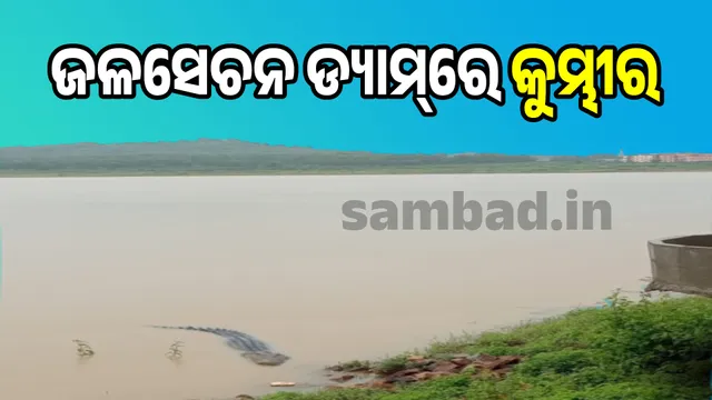 Crocodile in Kusumjhar medium irrigation dam: Video-photo goes viral
