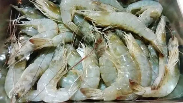 prawn