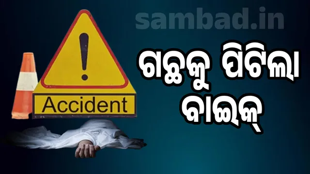 Bike loses balance and hits tree: One dead, one seriously injured