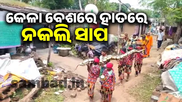 Innovative awareness program for snakebite treatment: Fake snake in hand