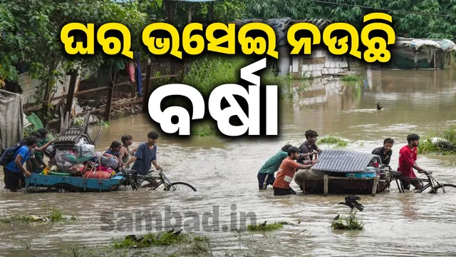 New Project (20) (1)