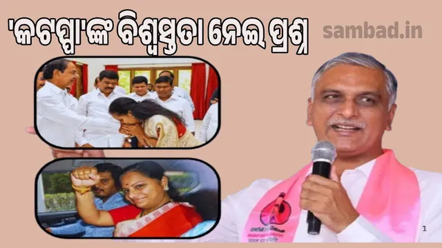 Kavitha questions KCR's 'Kattappa' Harish Rao's loyalty