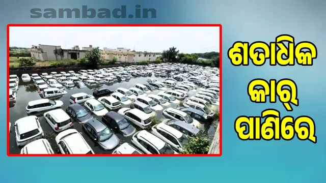 Flood crisis in Bahadurgarh: Factories closed, hundreds of cars submerged in water