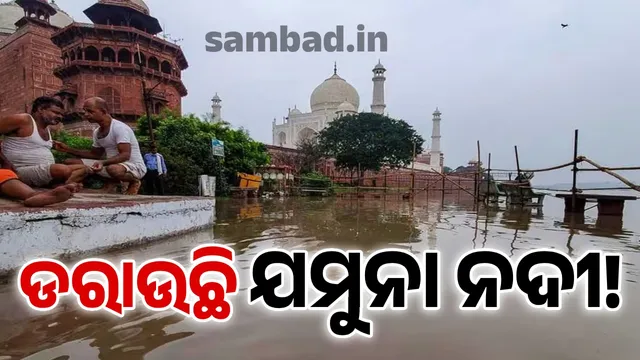 New Project (20) (1)