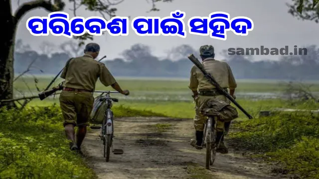 363 forest dwellers gave their lives to protect the Khejari trees