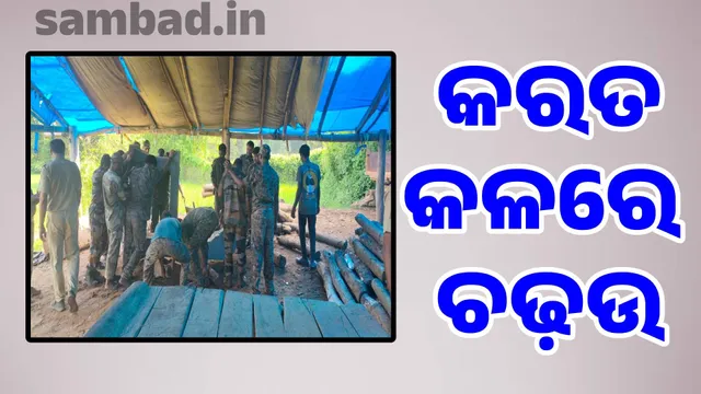 Forest department raids illegal logging