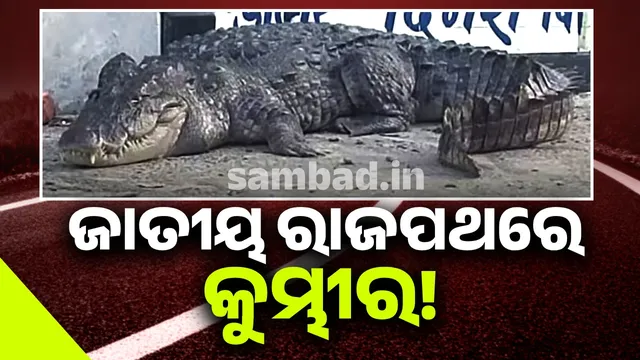 New Project (15) (1)