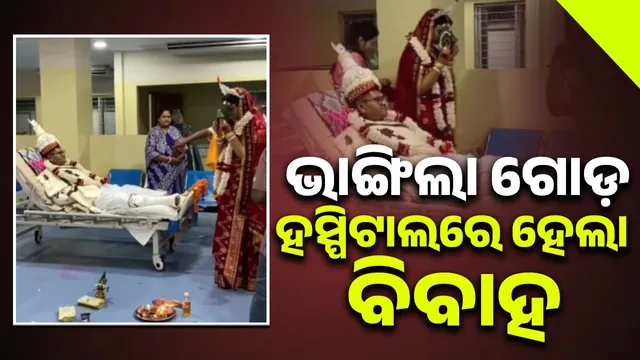 New Project (18) (4)