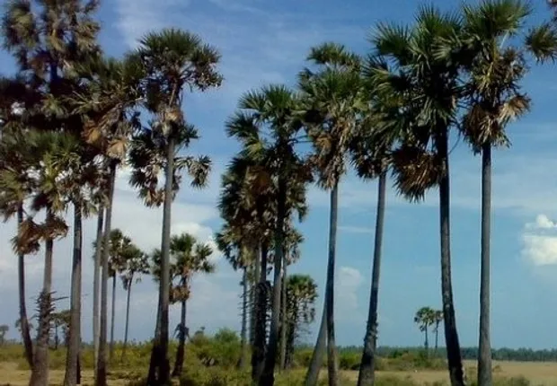 7b9327dc-e54c-464a-a262-e420a983aebe