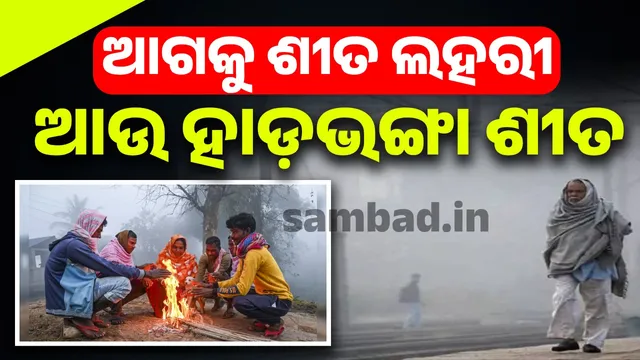 Warning: After heavy rain, weather department predicts cold wave and bitter cold