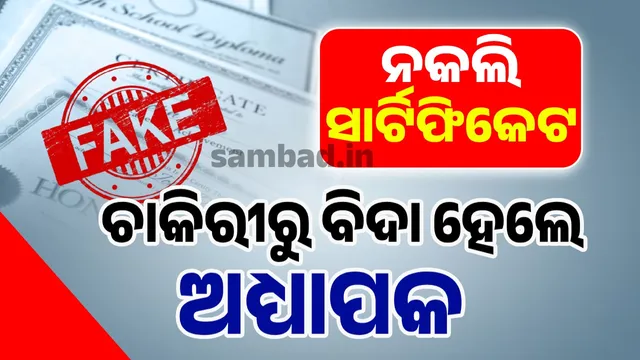 Professor fired for using fake certificate to get job: 7 years' salary to be recovered