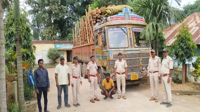 Truckload of timber seized during smuggling: One court case