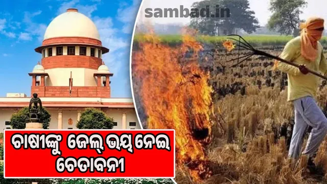 Sending some farmers to jail will make others vigilant: Supreme Court