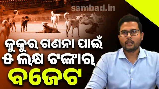 Counting of stray dogs to be carried out in an area of ​​3,500 to 4,000 km