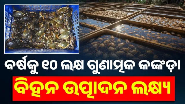 state's first crab hatchery in Paradip