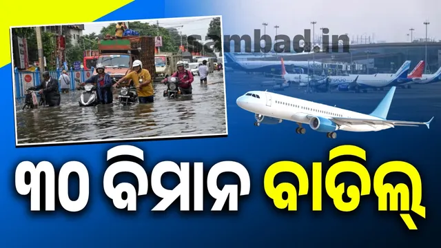 New Project (14) (1)