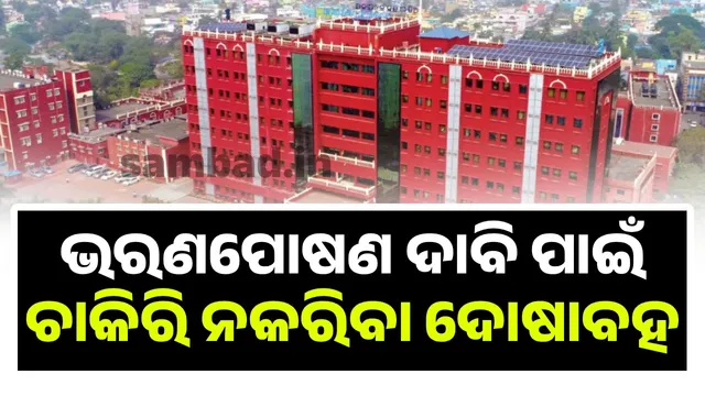 Wife with higher education guilty of refusing husband a job for maintenance: Orissa High Court