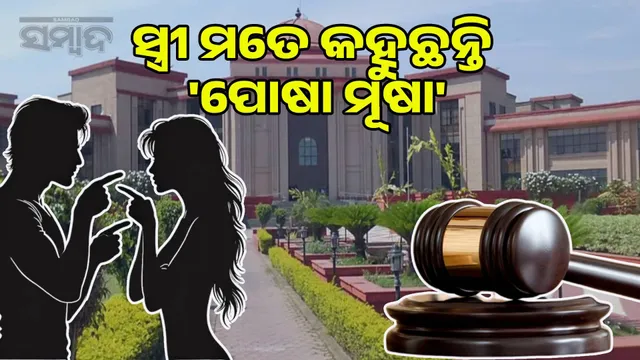 Judge sir, my wife is calling me 'Pet rat': High Court grants divorce citing cruelty