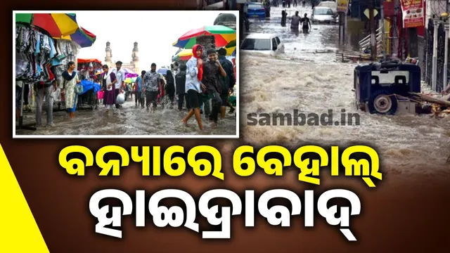 New Project (13) (2)