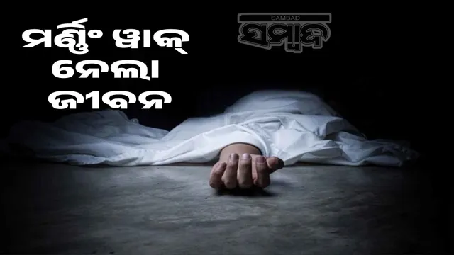 Girl dies after being hit by car while on morning walk