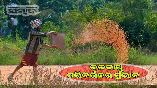 Climate change: Global GDP expected to fall by 24% by 2100