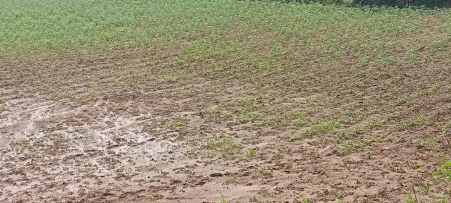 043f9a8d-d305-466c-a3fd-665de00d5830