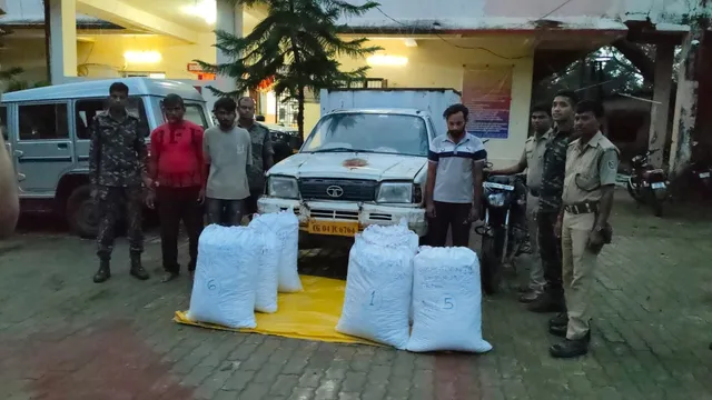 e29d5e82-85e9-4084-b28e-48349494836a