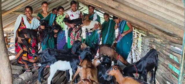 f4176968-cf1c-4e5f-b316-39ea0cbca732