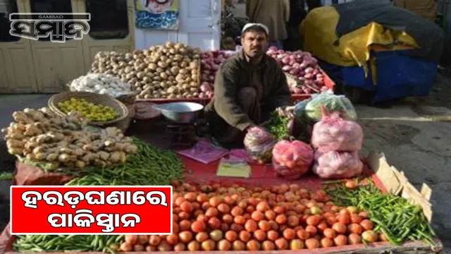 Pakistan market conditions worse: Tomato in Pakistan sells at ₹600 per kg, sells at ₹750 per kg