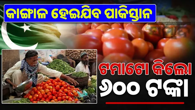 Tomatoes prices in pakistan
