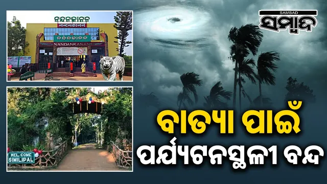 cyclone montha updates