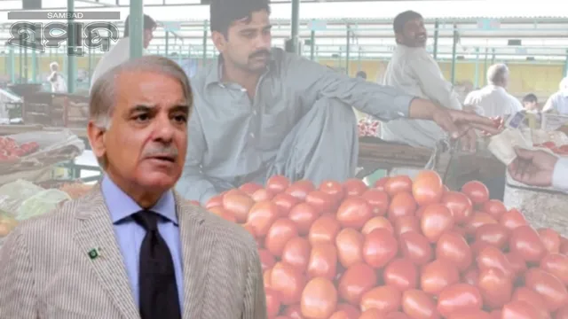 Loan to buy tomatoes in Pakistan: Demand for loan to buy tomatoes in Pakistan! Shahbaz-Munir's concern increased
