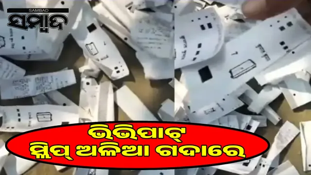 VVPAT slips in garbage heap: Election Commission takes action against officials