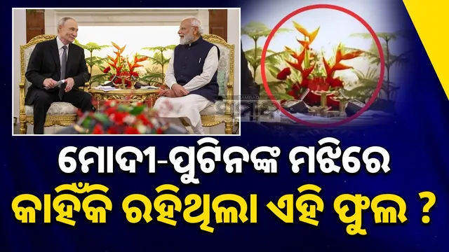 Heliconia plant in modi-putins meet