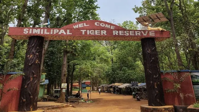 Two poachers arrested in Similipal
