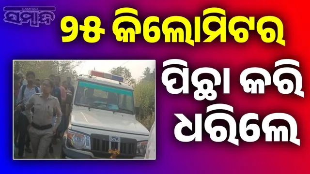 Bravery of youth: 4 looters arrested