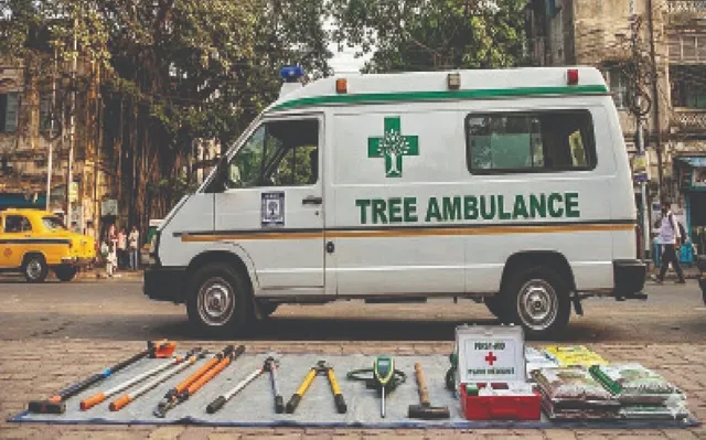 tree ambulance