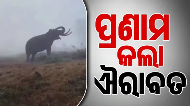 Airavata bowed down to Lord Indra from the earth