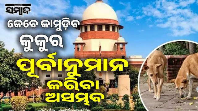 Supreme Court asks whether dogs should be counseled