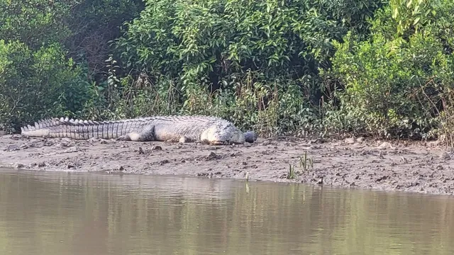 71727e48-52f3-4c5b-9865-80b7911cf697