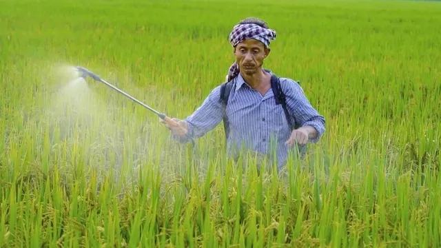 29bbs_21_29012026_112