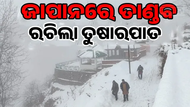 Snowfall wreaks havoc in Japan