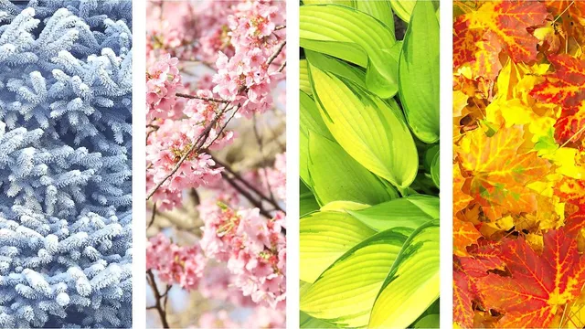 983a60_43e52eff1dca41efa6aa782062a6e21c~mv2