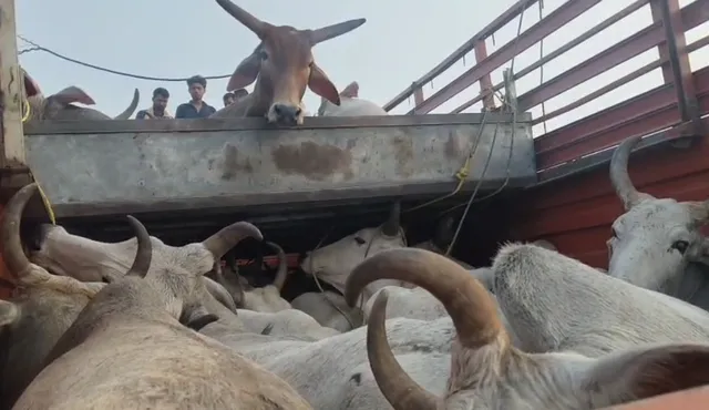 Screenshot_20260206-075512_WhatsApp