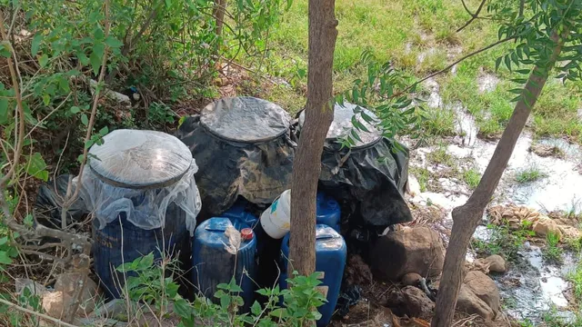 7d11e750-838f-43a1-bea6-dcb0c0c8e207