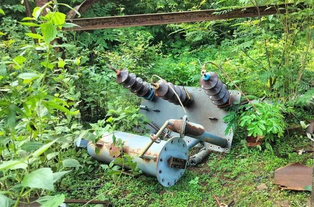 WhatsApp Image 2026-02-13 at 21.23.20