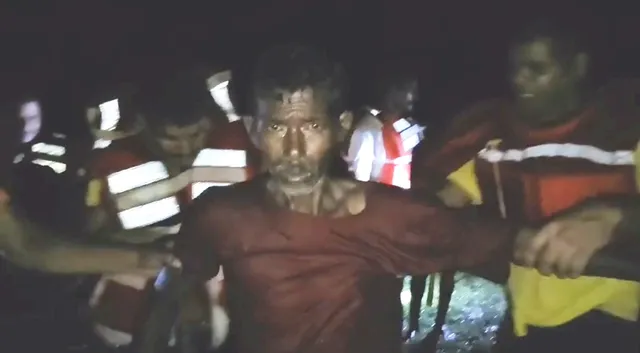 20 hours in the tree trunk