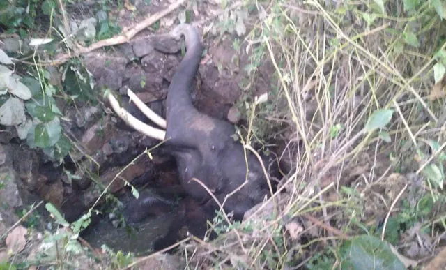 WhatsApp Image 2024-10-10 at 10.18.43 AM